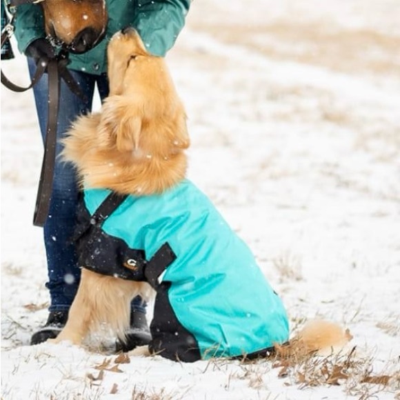 Gatsby Dog Coat NWOT Size Large Teal Color - Picture 1 of 8